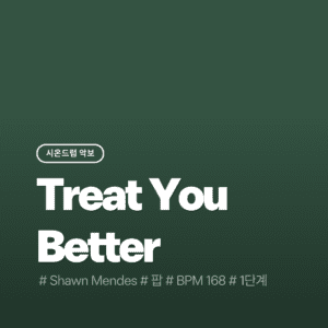 Treat You Better - Shawn Mendes
