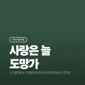 사랑은 늘 도망가 - 임영웅