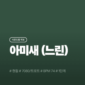 아미새(느린) - 현철