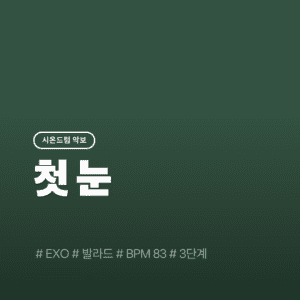 첫 눈 - EXO