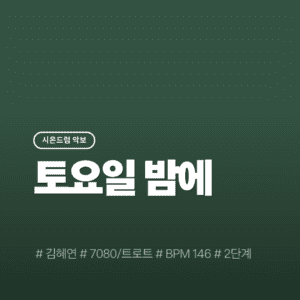 토요일 밤에 - 김혜연